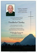 Friedhelm Chittka